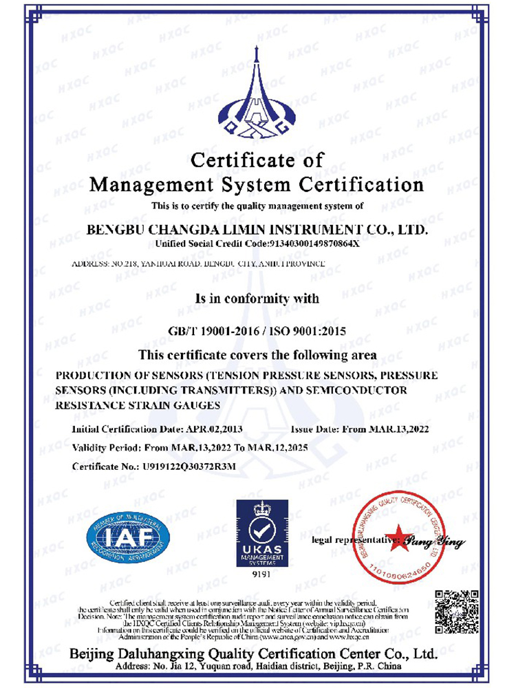ISO9001管理体系认证证书(英文)